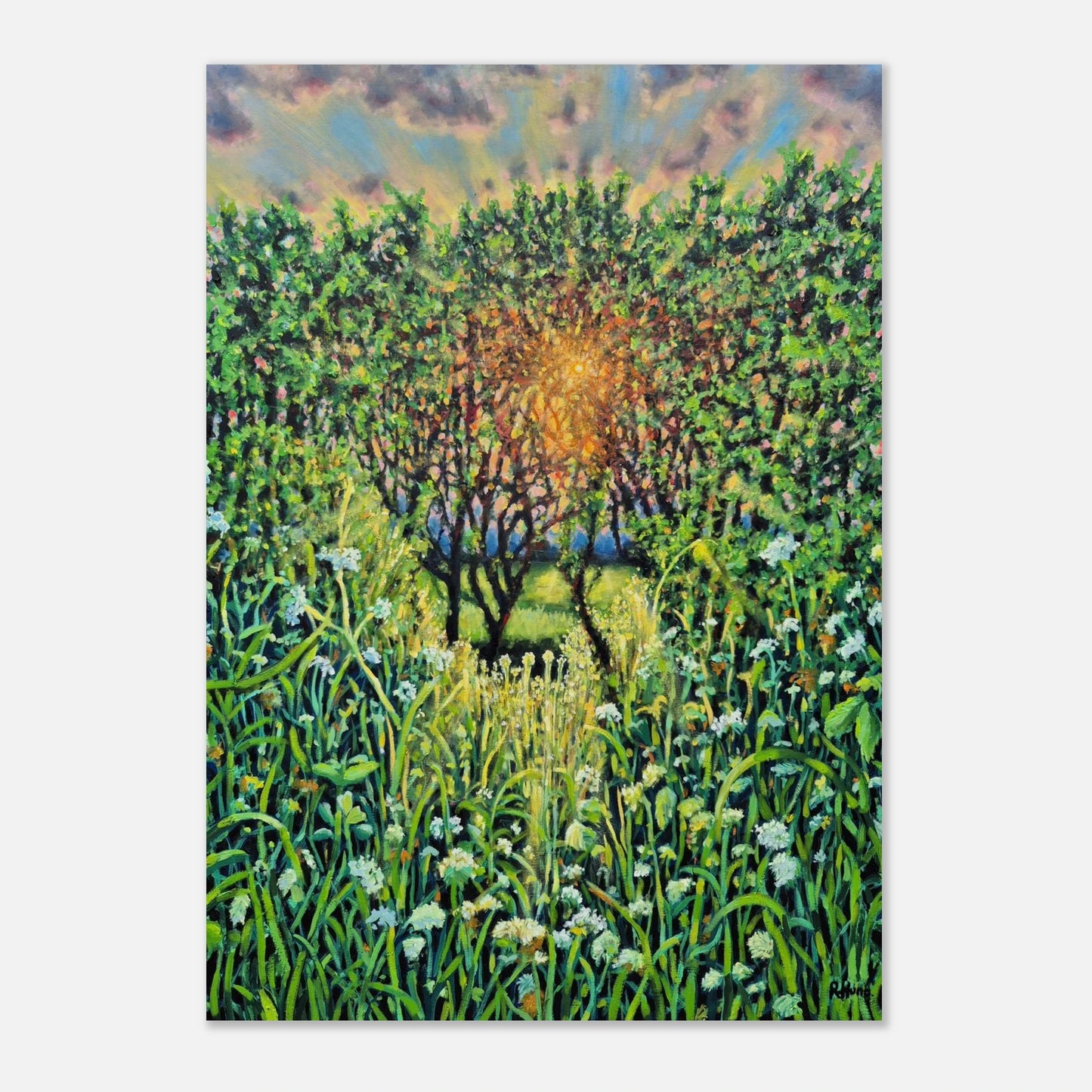 2473d860-b779-446b-abcd-13dd466ce6cf