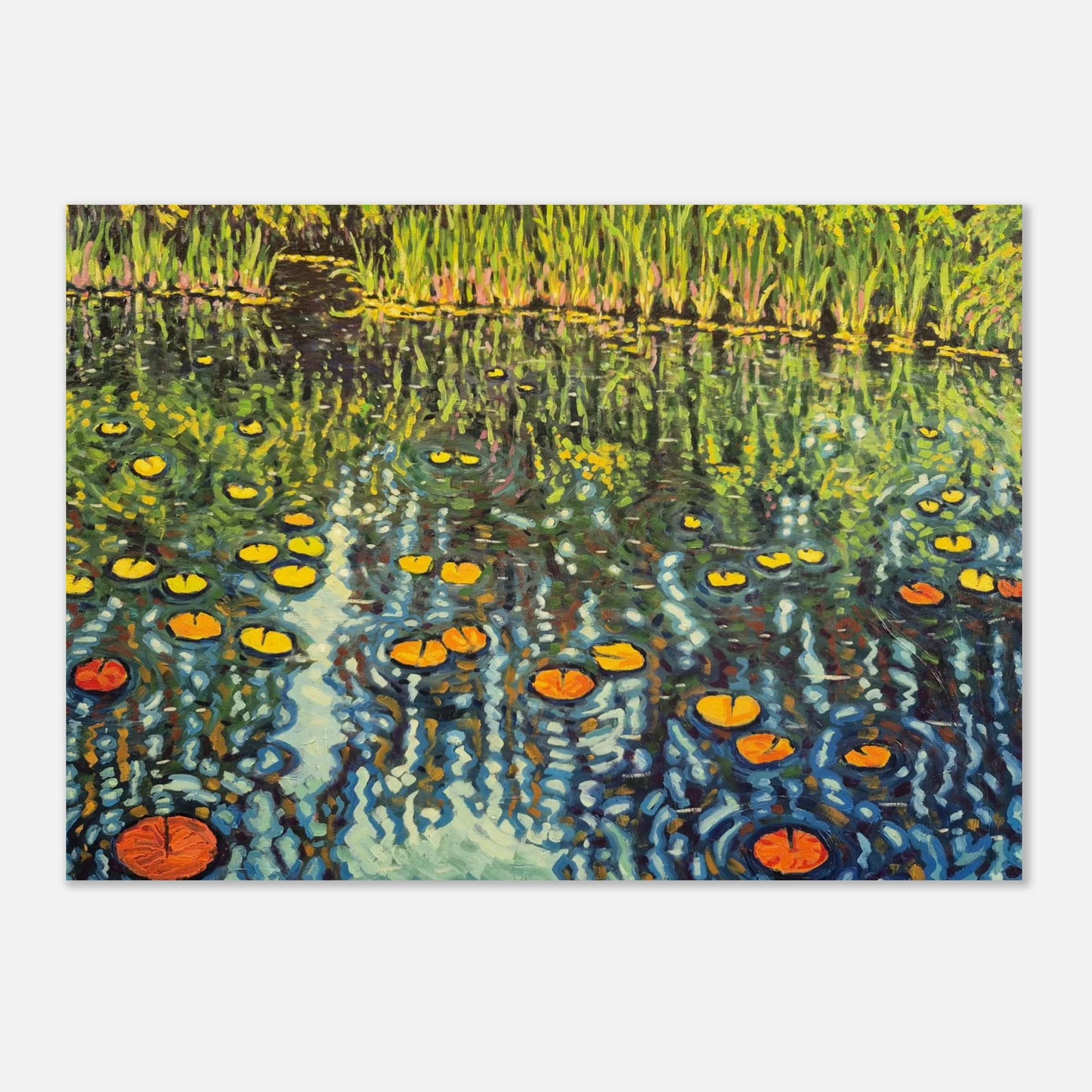 5575ac02-5c76-4b15-b4bd-17df3454f9e9