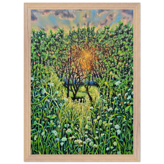 87f041e9-a9fe-4d08-8628-e46edd3c8882